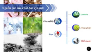 Nguồn gốc cyanide