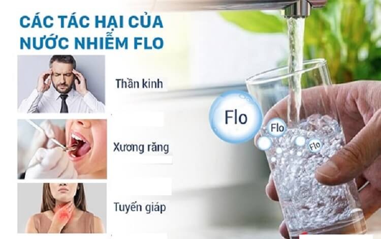 Tác hại của FLo