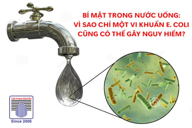 Vi khuẩn E. coli trong nước uống – Nguy cơ sức khỏe và cách xử lý