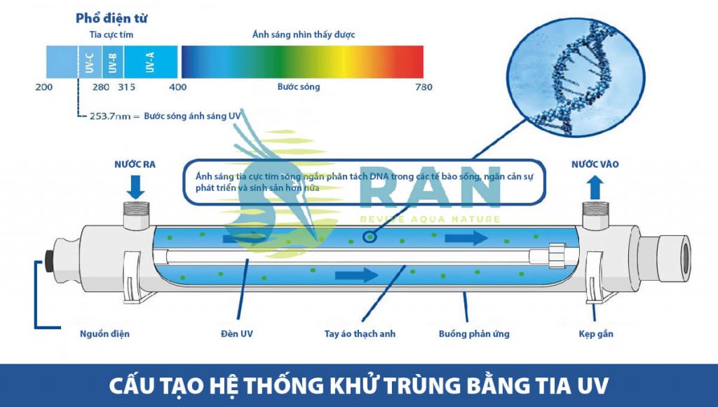 Cách loại bỏ vi khuẩn trong nước bằng tia cực tím