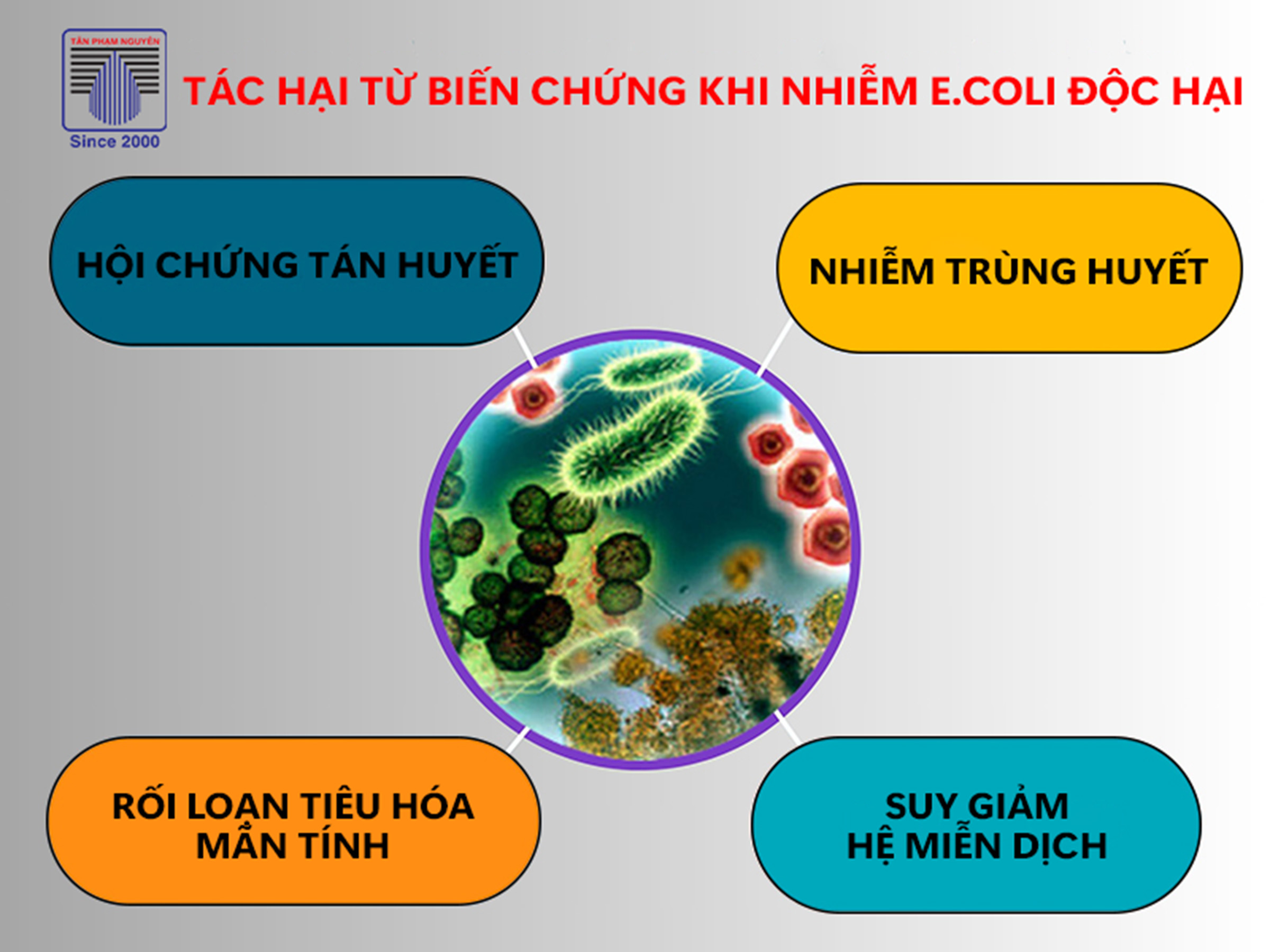 Vi khuẩn E. coli trong nước uống – Nguy cơ sức khỏe và cách xử lý