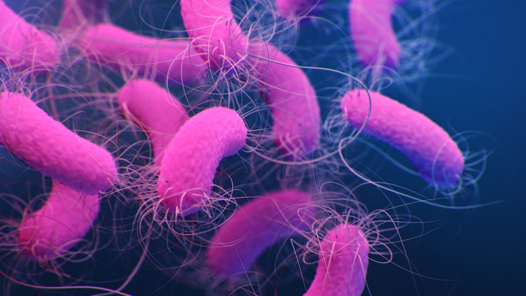 Vi khuẩn Pseudomonas aeruginosa trong nước uống – Nguy cơ sức khỏe & cách xử lý