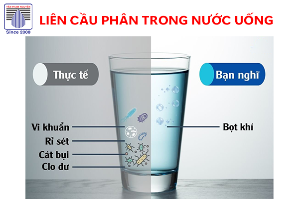 Vi khuẩn Liên cầu phân trong nước uống – Nguy cơ sức khỏe và cách xử lý